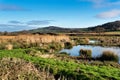 Winter at Seaton Wetlands in Devon Royalty Free Stock Photo